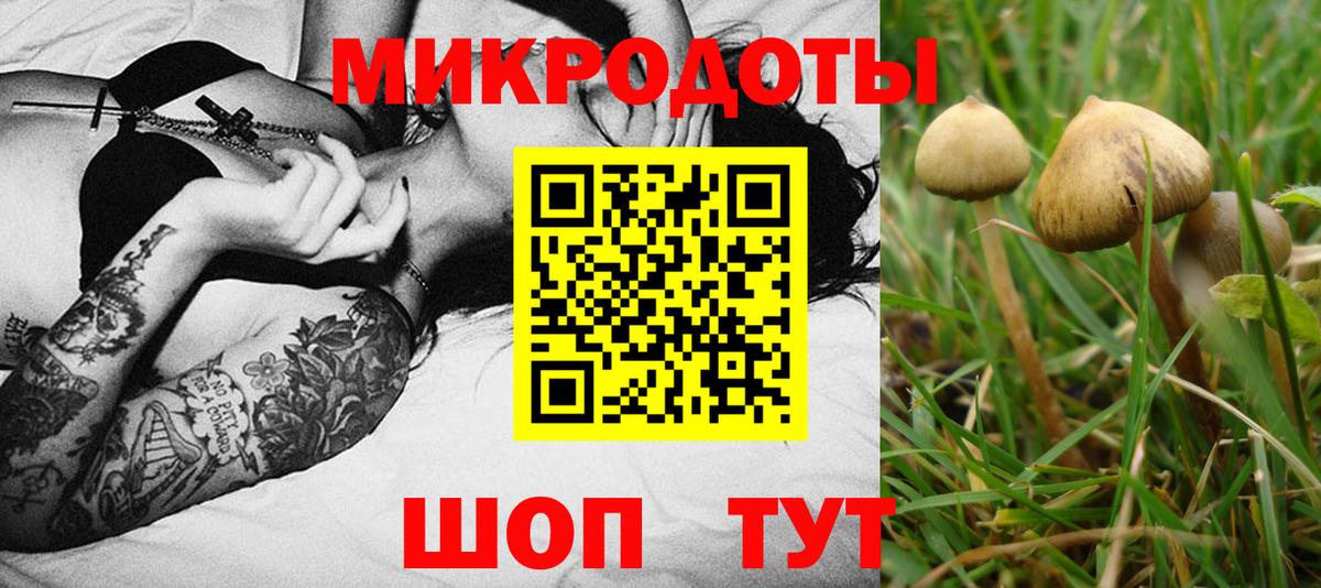 Галлюциногенные грибы GOLDEN TEACHER  Галлюциногенные грибы мицелий  хочу наркоту  Вход с VPN  Томск 